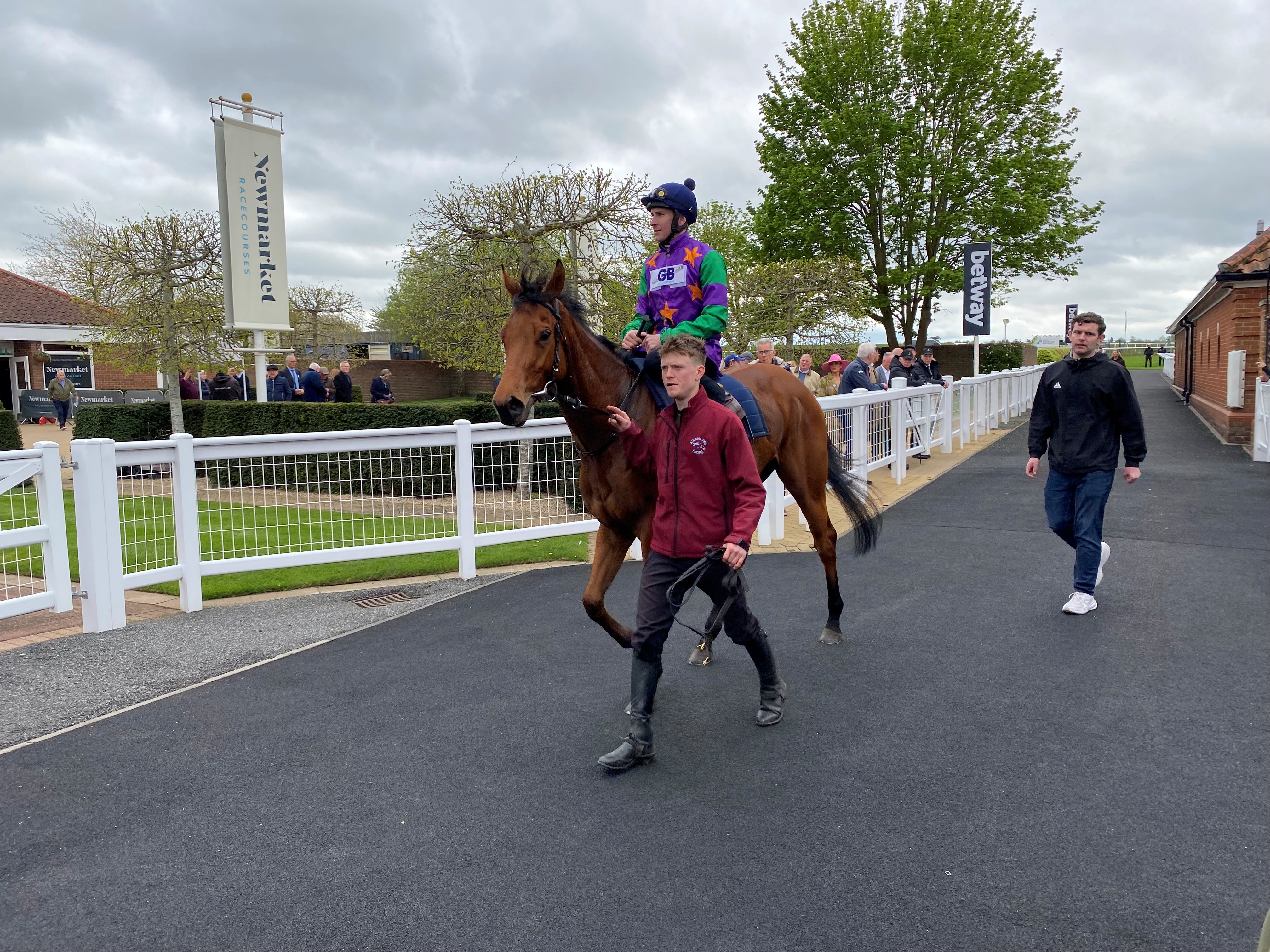 Spicy Marg at Newmarket 