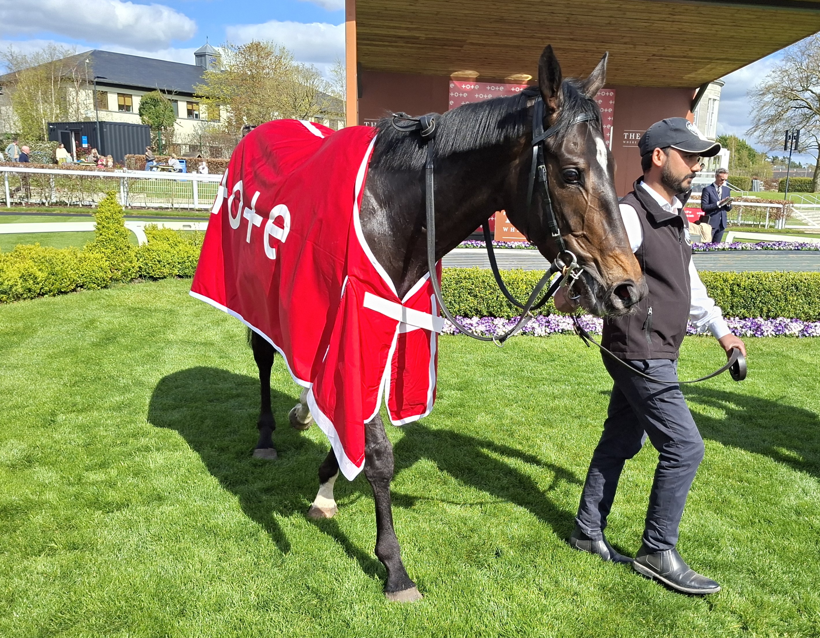 Starford after winning the Alleged Stakes at the Curragh