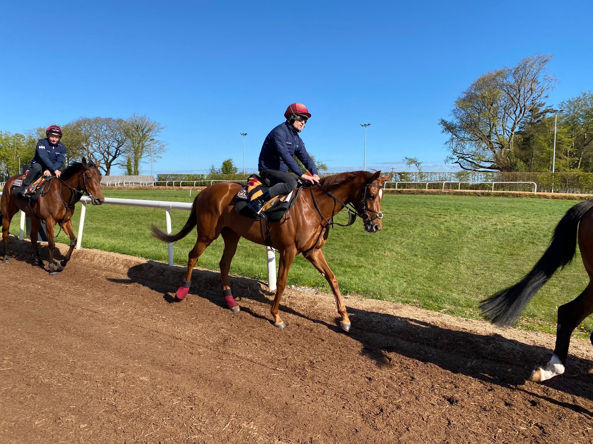 Precise is on course for the 1000 Guineas at Newmarket