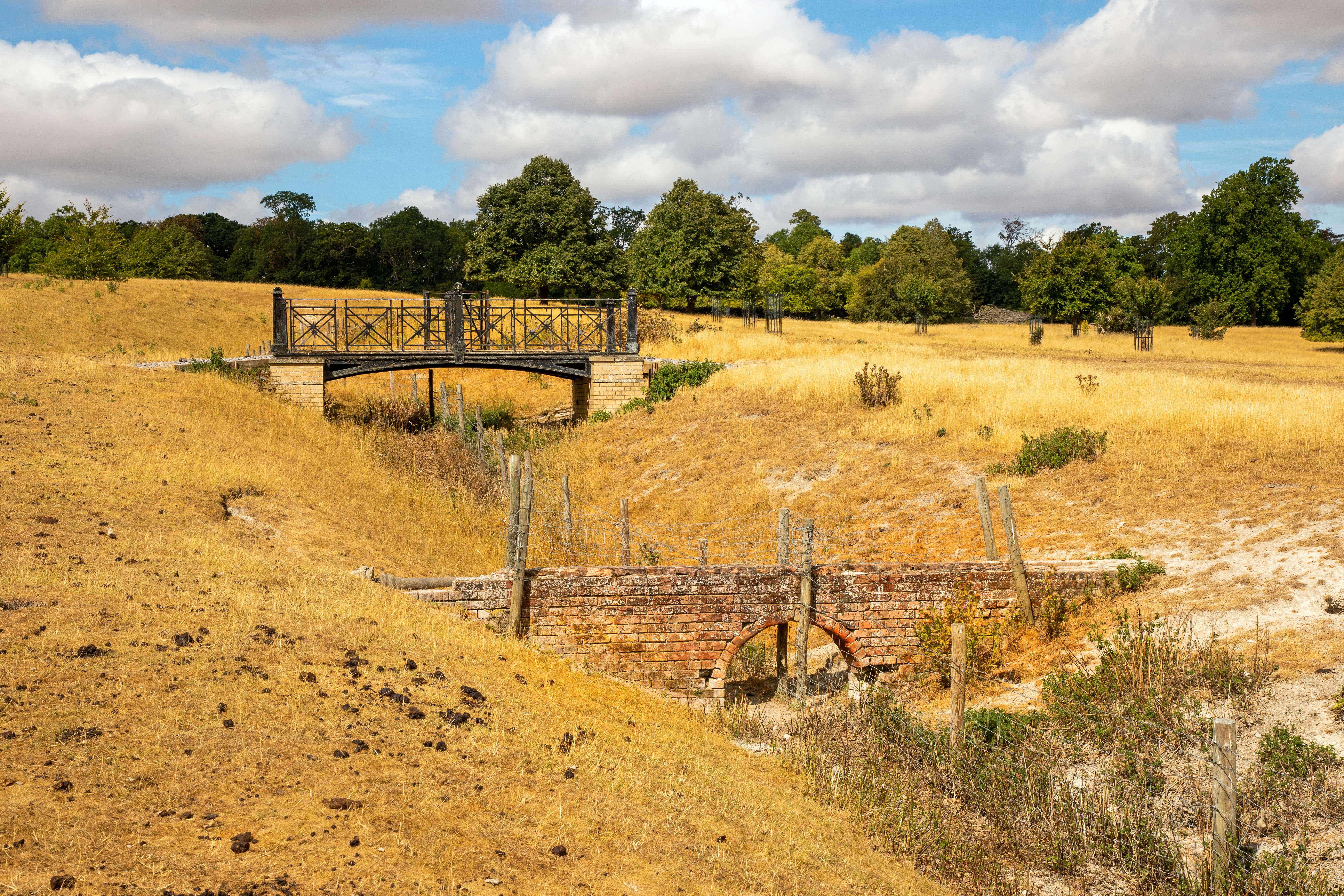 View of dry, brown grass