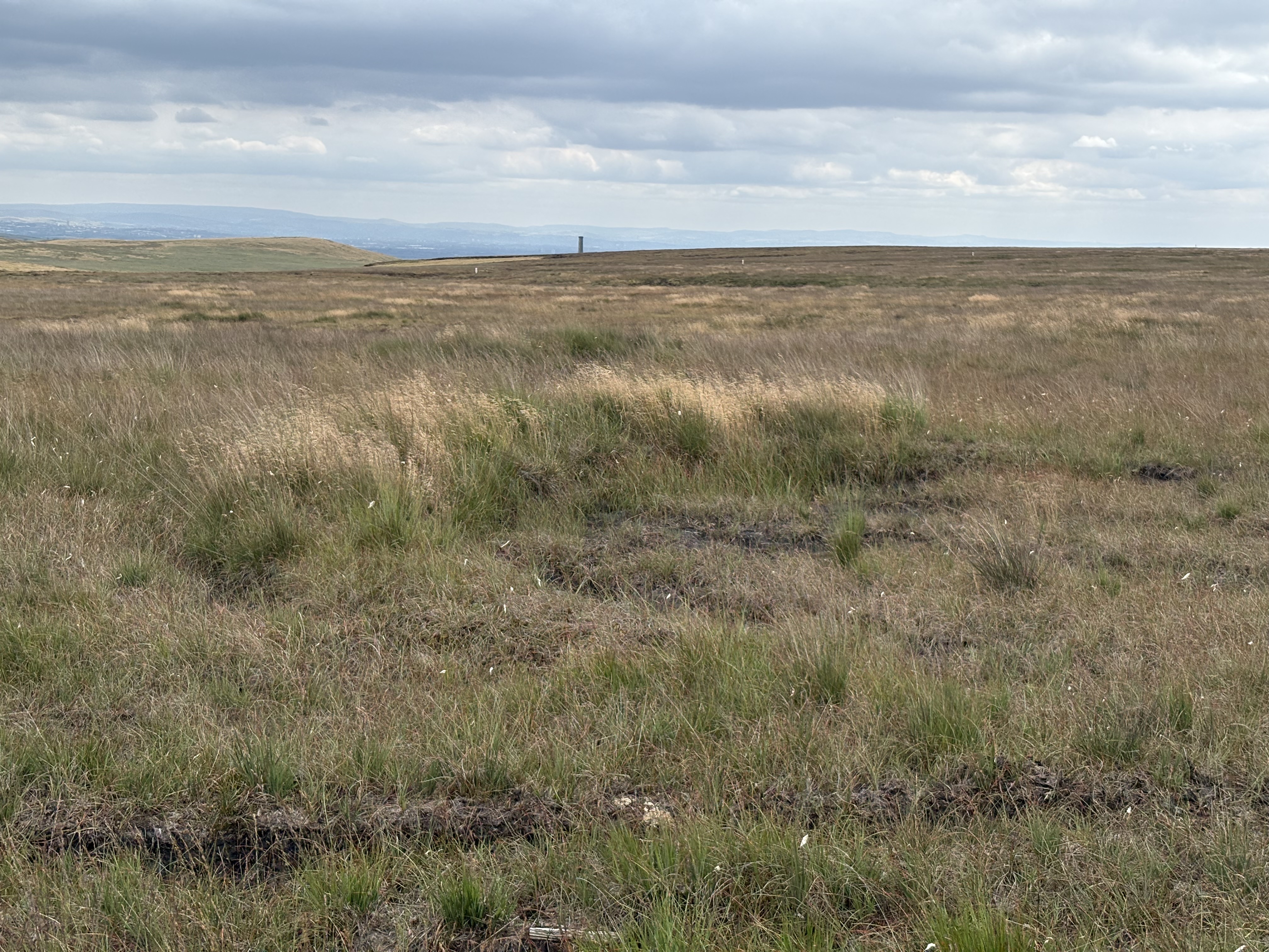 A raise curve of moorland covered with grass where the bund was put in
