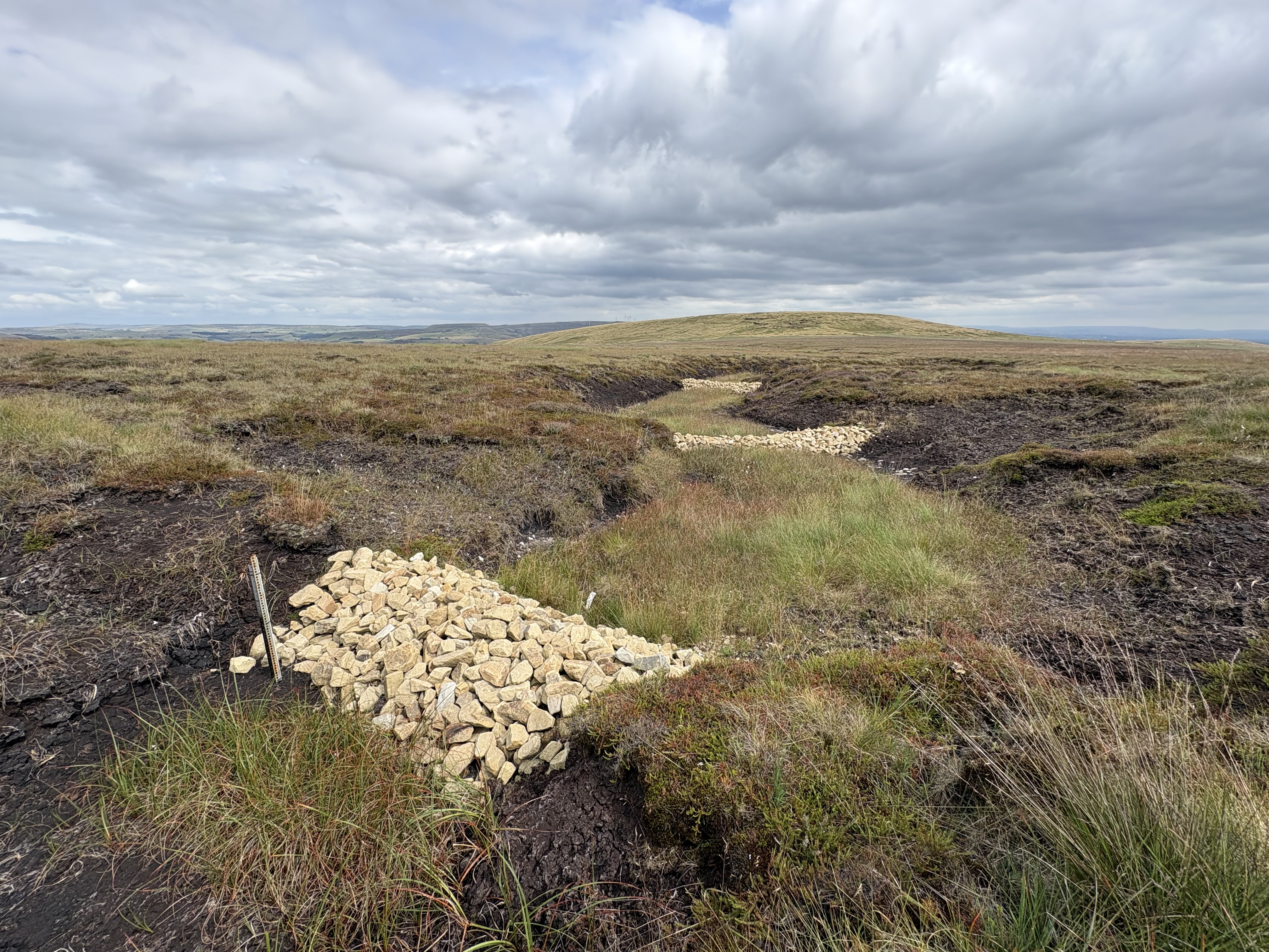 Stone dams in a gully on the moor