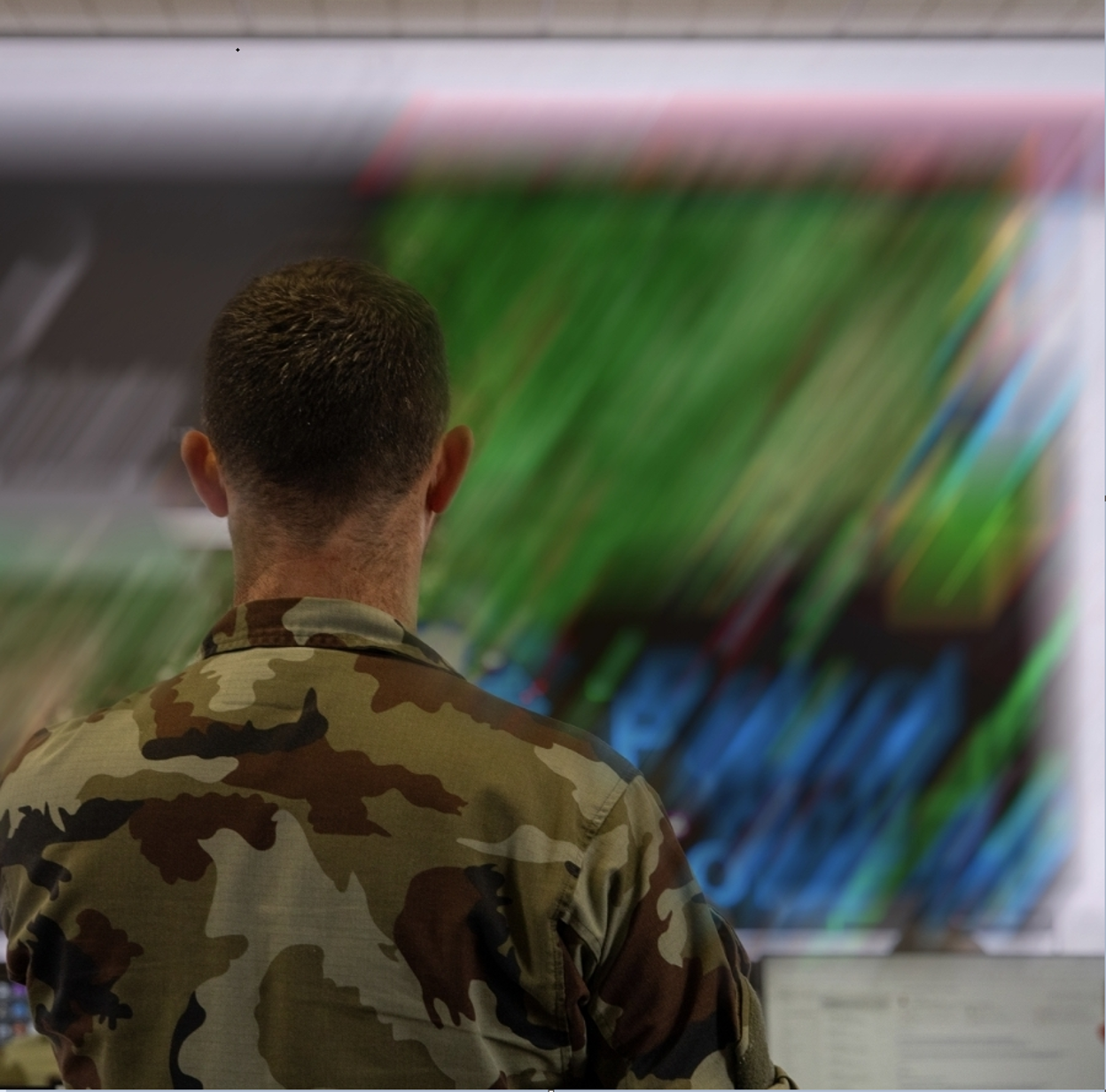 A view of the back of a soldier in fatigues