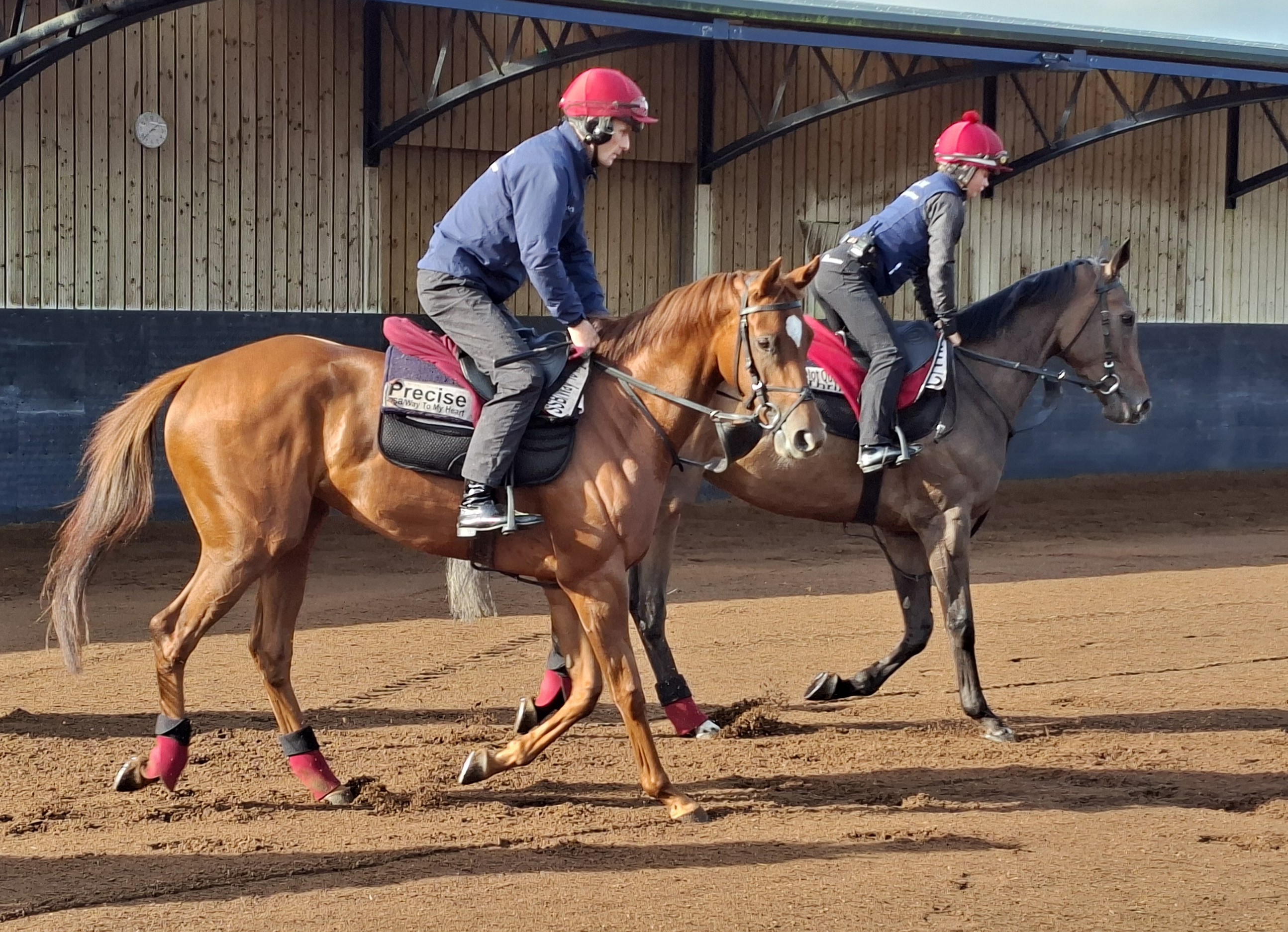 Precise at Ballydoyle on Monday