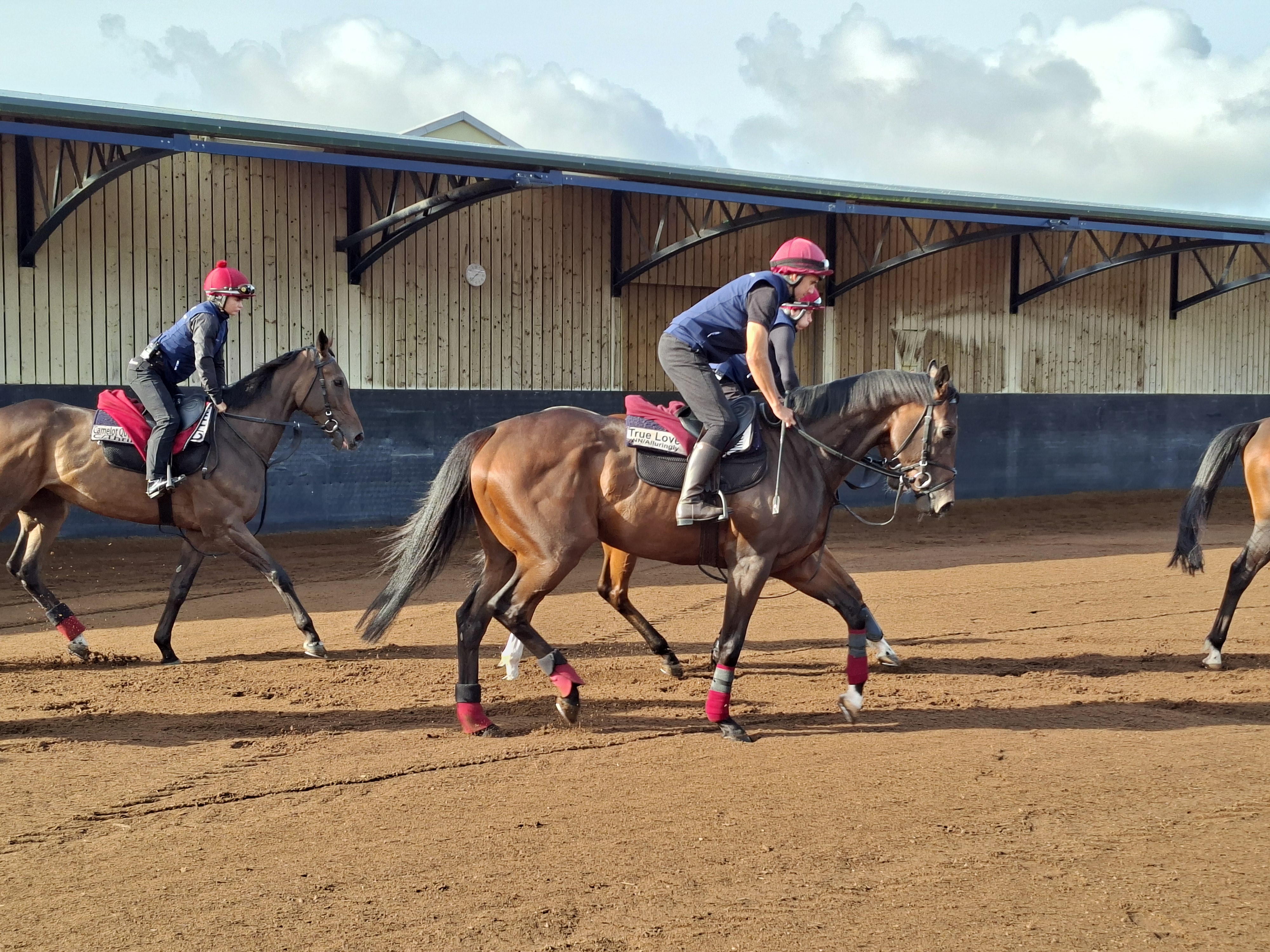 True Love is set to face Precise again at Leopardstown