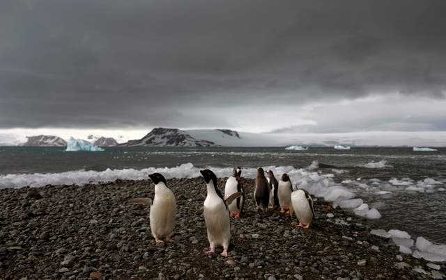 South Africa Antarctic base