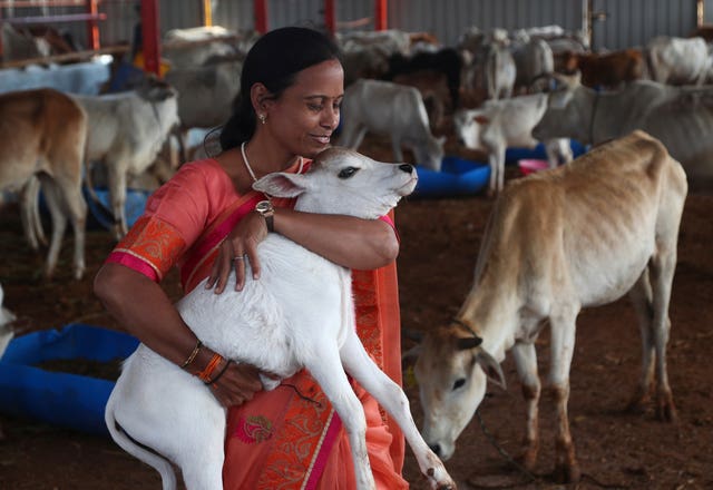 India Hindu Valentine’s Day