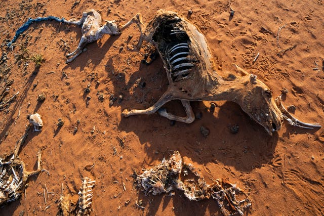 Drought Flood Extremes
