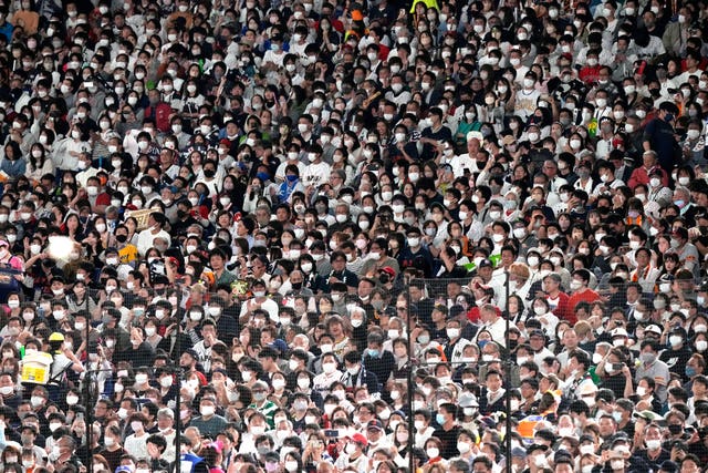 Baseball fans in masks