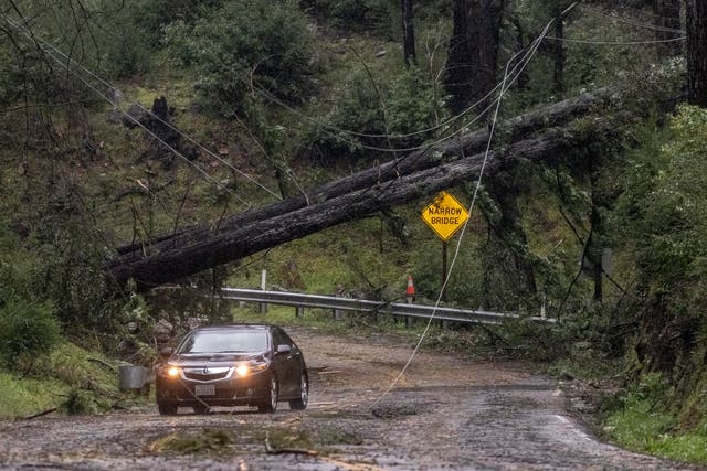 A vehicle drives past fallen trees in Boulder Creek, California
