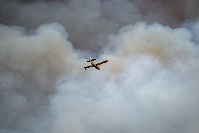 Forest fire