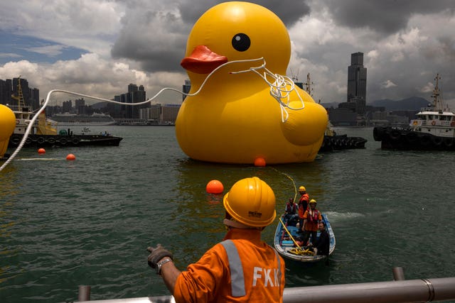 Hong Kong Giant Ducks