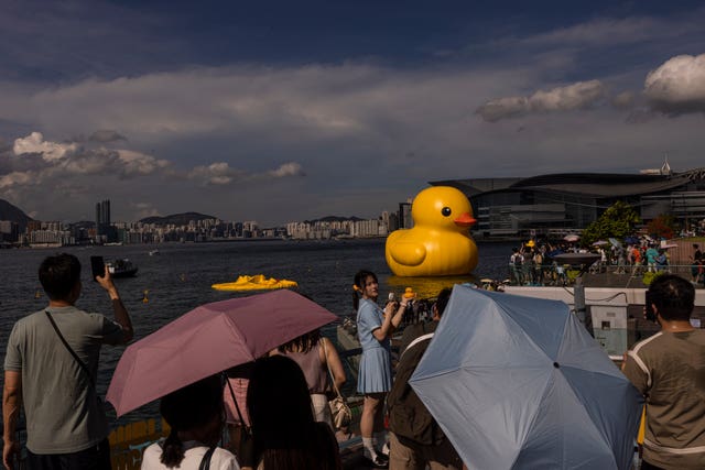 Hong Kong Giant Ducks