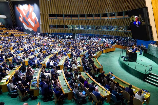 UN General Assembly