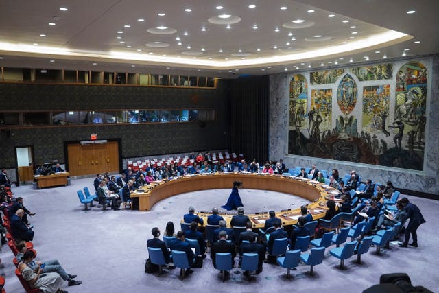 UN Security Council