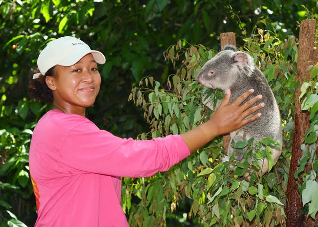 Naomi Osaka meets a koala in Brisbane