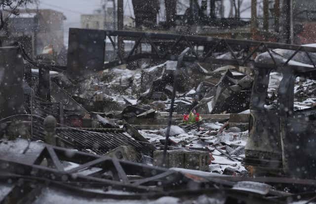 Japan Earthquake