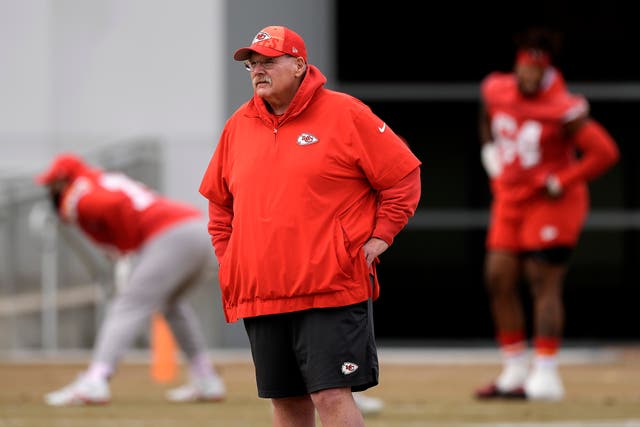 Kansas City Chiefs head coach Andy Reid (Charlie Riedel/AP)