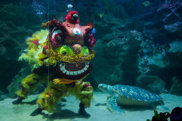 Lunar New Year Photo Gallery