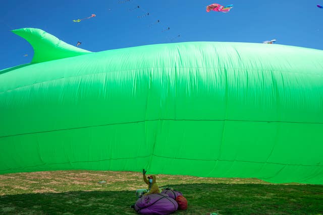 China Kite Festival Photo Gallery