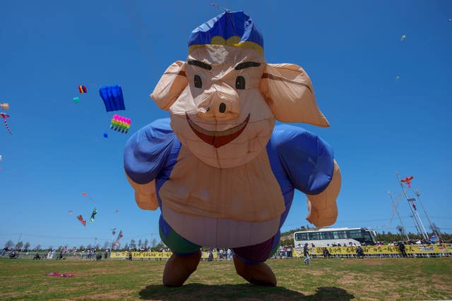 China Kite Festival Photo Gallery