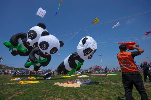 China Kite Festival Photo Gallery