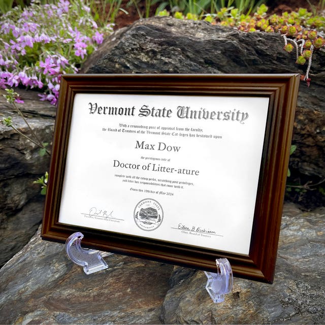 The special diploma for Max the cat