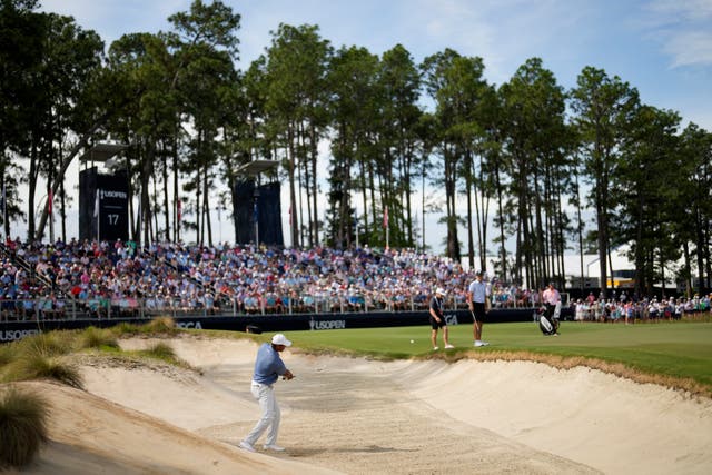Tiger Woods