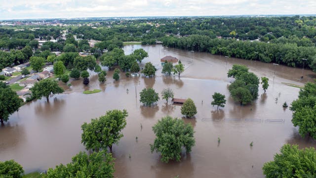 Treetops peek through floodwater