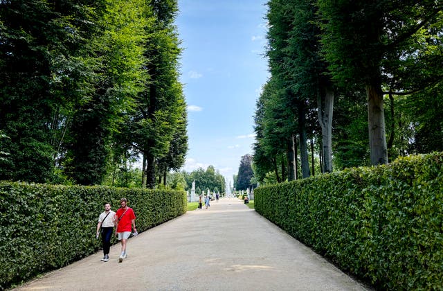 Climate Germany Sanssouci Trees