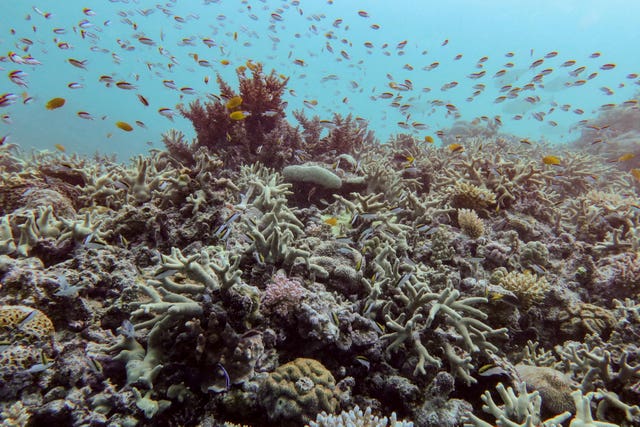Australia Great Barrier Reef