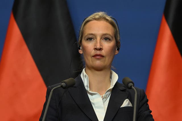 Hungary Orban Alternative for Germany