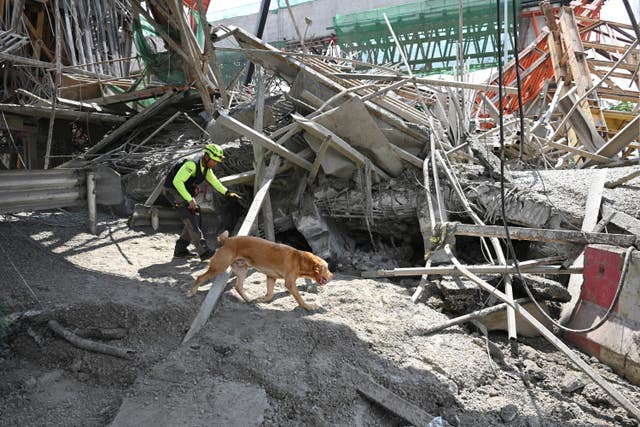 A Thai rescue worker patrols with a search and rescue dog