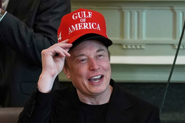 Elon Musk (Evan Vucci/AP)