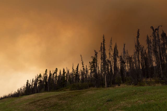 Smoke in the air in British Columbia