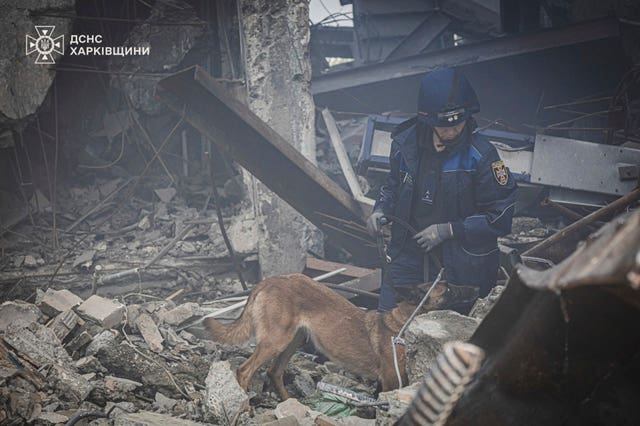 In this photo provided by the Ukrainian Emergency Service, a rescuer and his dog search for victims