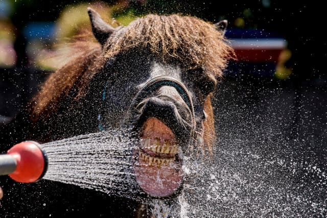 APTOPIX Germany Extreme Weather Heat