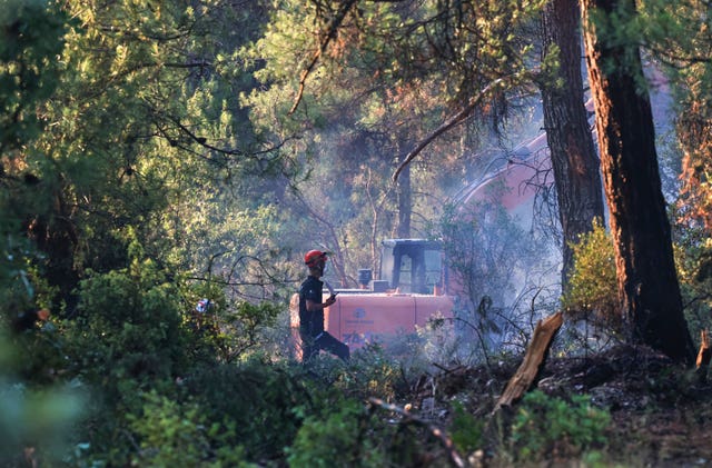 Firefighters work to extinguish a wildfire in Bursa, Turkey