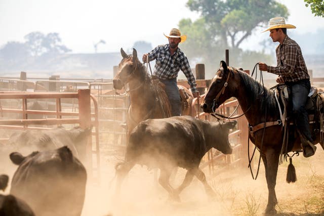 Ranchers working to evacuate cattle