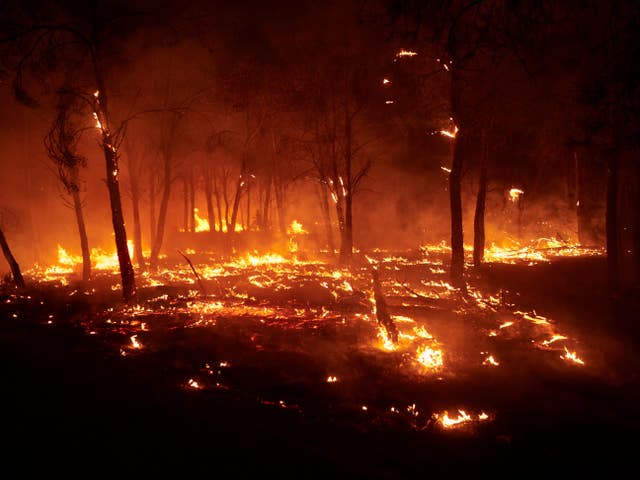 Europe Fires