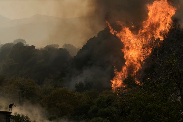 A man fights against a wildfire in Vounteni village, on the outskirts of Patras, western Greece