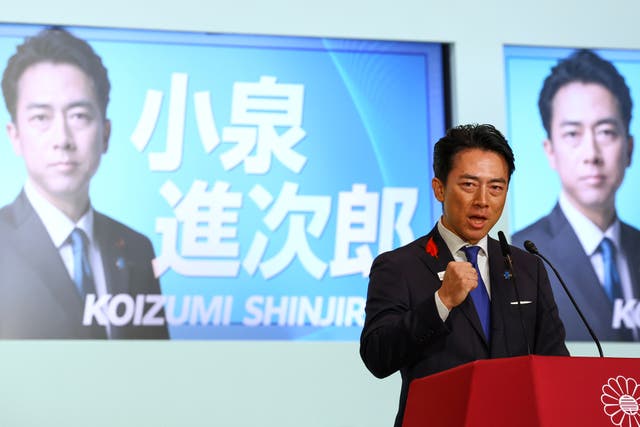 Japan Politics