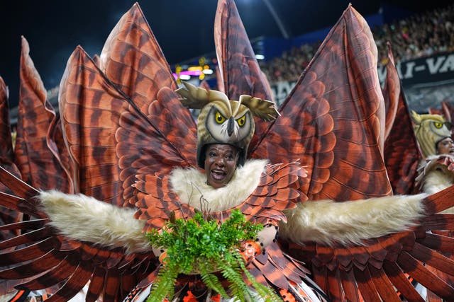 A dancer during a carnival parade in Sao Paulo