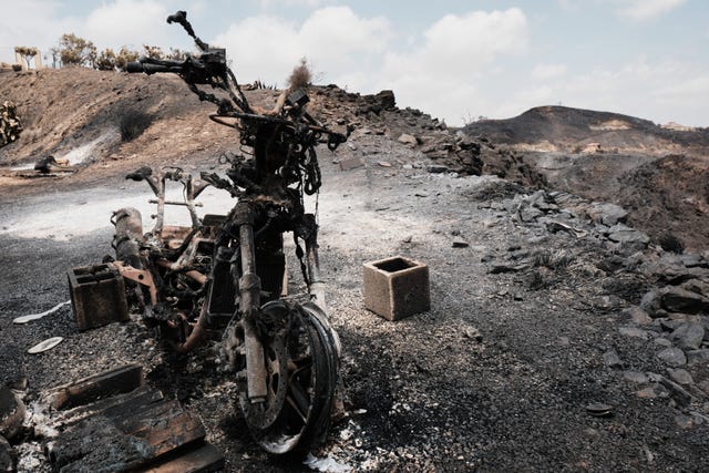 A view of a burnt area affected by wildfires in Bedar, near Almeria