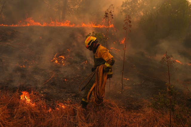 A firefighter battles a wildfire