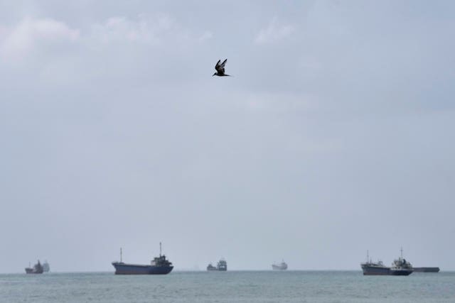 A tern flies over commercial vessels anchored in the Strait of Hormuz