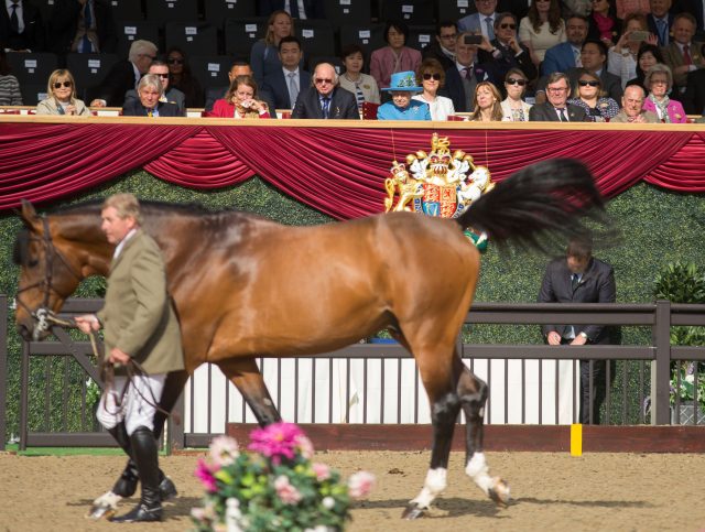 Queen Elizabeth II and the Duke of Edinburgh watch as Nick Skelton walks his horse Big Star around the arena (Steve Parsons/PA)