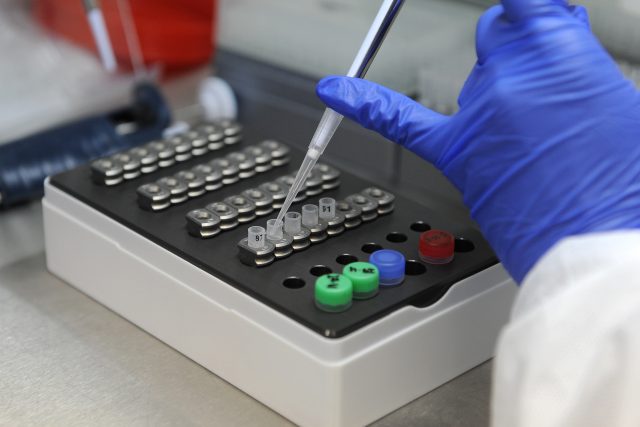 A scientist checks samples