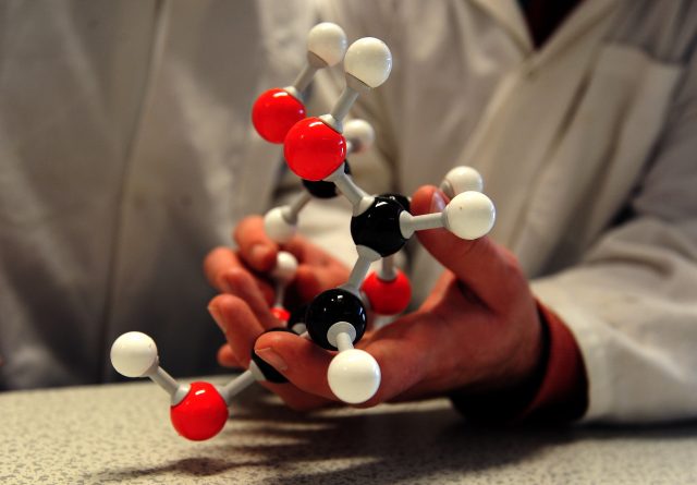 A scientist with a molecule model