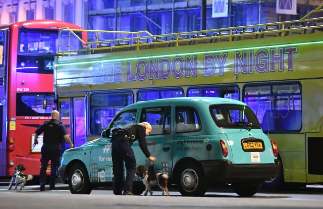 Police sniffer dogs on the scene on London Bridge